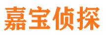 东坡寻人公司